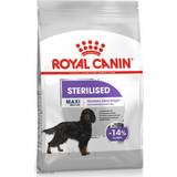 Royal Canin Kæledyr Royal Canin Maxi Sterilised Care 9kg