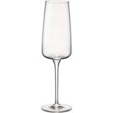 Bormioli Rocco Krystalglas Køkkentilbehør Bormioli Rocco Planeo Flute Champagneglas 24cl