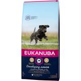 Eukanuba B-vitaminer Kæledyr Eukanuba Developing Junior Large Breed with Chicken 15kg