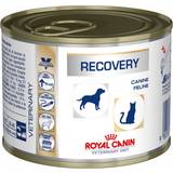 Royal Canin Mælk Kæledyr Royal Canin Recovery 0.2kg