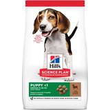 Hill's Science Plan Medium Puppy Food with Lamb & Rice 14