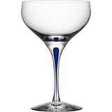Erika Lagerbielke Champagneglas Orrefors Intermezzo Coupe Champagneglas 30cl