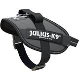 Julius-K9 Hunde - Hundehalsbånd & -Seler Kæledyr Julius-K9 IDC Powerharness Mini 40-53cm