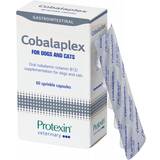 Allergi Kæledyr Protexin Cobalaplex 60 Capsules