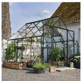 Kvadratisk Fritstående drivhuse Halls Greenhouses Qube+ 88 6.6m² 3mm Aluminium Hærdet glas