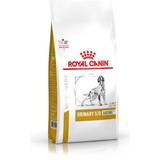 Royal Canin Urinary S/O Ageing 7 8kg