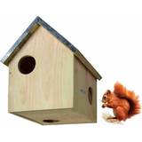 Smådyr Kæledyr Squirrel House WA10