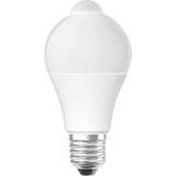 Varme hvide Glødepærer LEDVANCE ST CLAS A 60 Incandescent Lamps 9W E27