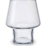 Transparent Vaser Eva Solo Succulent Vase 18cm
