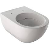 Toiletter & WC Geberit Acanto (612976130)