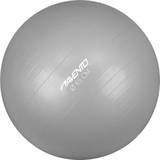 Avento Træningsbolde Avento Fitness Ball 65cm