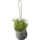Selvvandende Krukker Rig Tig Grow-It Flower Pot ∅13cm