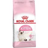 Katte - Tunfisk Kæledyr Royal Canin Kitten 0.4kg