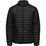 Herre - Quiltede jakker Only & Sons Quilted Jacket - Black/Black