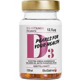Biosalma d3 vitamin BioSalma D3 Vitamin 120 stk
