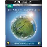 TV serier 4K Blu-ray Planet Earth 2 - 4K Ultra HD