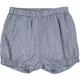Wheat Olly Shorts - Cool Blue Stripe (6922d-406-9067)