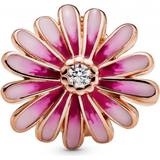 Pandora Daisy Flower Charm - Rose Gold/Multi