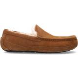 3 - 48 ½ Loafers UGG Ascot - Chestnut