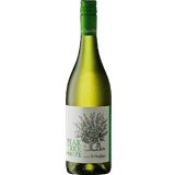 Western Cape Vine Pear Tree Chenin Blanc