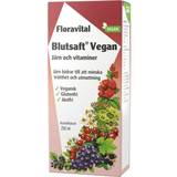 Floradix Vitaminer & Kosttilskud Floradix Blutsaft Vegan 250ml