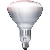 Reflektorer Lavenergipærer Philips R125 IR Energy-Efficient Lamps 150W E27