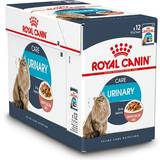 Royal Canin Kæledyr Royal Canin Urinary Care Gravy