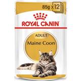Royal Canin Katte - Vådfoder Kæledyr Royal Canin Maine Coon 12x85g