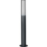Indendørsbelysning - Plast Stolpebelysning LEDVANCE Endura Style Lantern Flare Pullert 60.4cm