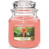 Yankee Candle Paraffin Lysestager, Lys & Dufte Yankee Candle The Last Paradise Duftlys 411g