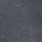 BerryAlloc Pure 60001592 Vinyl Flooring