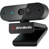 Webcams Avermedia PW310P