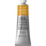 Winsor & Newton Professional Water Colour Raw Sienna Whole Pan