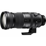 Leica L Kameraobjektiver SIGMA 150-600mm F5-6.3 DG DN OS Sports for L-Mount