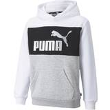Puma Essentials+ Color Block Youth Hoodie - Puma White/Silver (846128-02)
