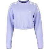 adidas Women Hyperglam Crop Crew Sweatshirt - Violet Tone