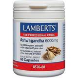 Lamberts Vitaminer & Kosttilskud Lamberts Ashwagandha 6000mg 60 stk