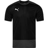Puma Herre T-shirts & Toppe Puma TeamGoal 23 Training Jersey Men - Black/Asphalt
