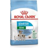 Royal Canin Kæledyr Royal Canin Mini Starter 8.5kg