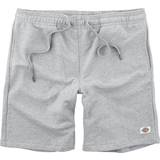 Løs - One Size Bukser & Shorts Dickies Champlin Shorts - Grey Melange