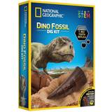 National Geographic Eksperimenter & Trylleri National Geographic udgravning af dino-tand