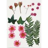 Hobbymaterialer Creativ Company Tørrede blomster og blade, rød, 19ass
