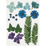 Creativ Company Tørrede blomster og blade, blå, 19ass