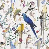 Christian Lacroix Tapeter Christian Lacroix Birds Sinfonia hvid tapet 10x0,685 m fra 68,5cm x 10m