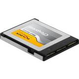 DeLock Memory Stick Micro Hukommelseskort & USB Stik DeLock CFexpress 256GB