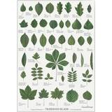 Brugskunst Koustrup & Co. Leaves of the Trees Plakat 42x59.4cm