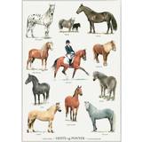 Brugskunst Koustrup & Co. Horses and Ponies Plakat 42x59.4cm