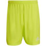 Gul Bukser & Shorts adidas Entrada 22 Shorts Men - Team Semi Sol Yellow