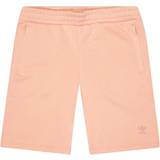 Herre - Pink - XXL Shorts adidas Adicolor Classics MM Trefoil Shorts - Ambient Blush