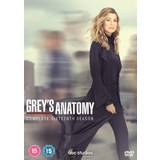 Greys anatomy dvd film Grey's Anatomy: Complete Sixteenth Season (DVD)